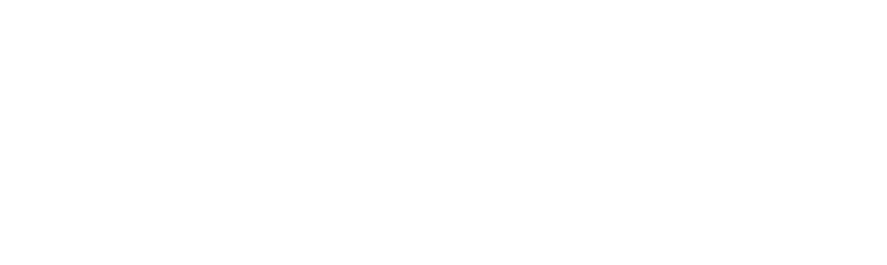 West Virginia Department of Human Services Logo